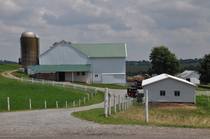 Amish farm with buggies in yard